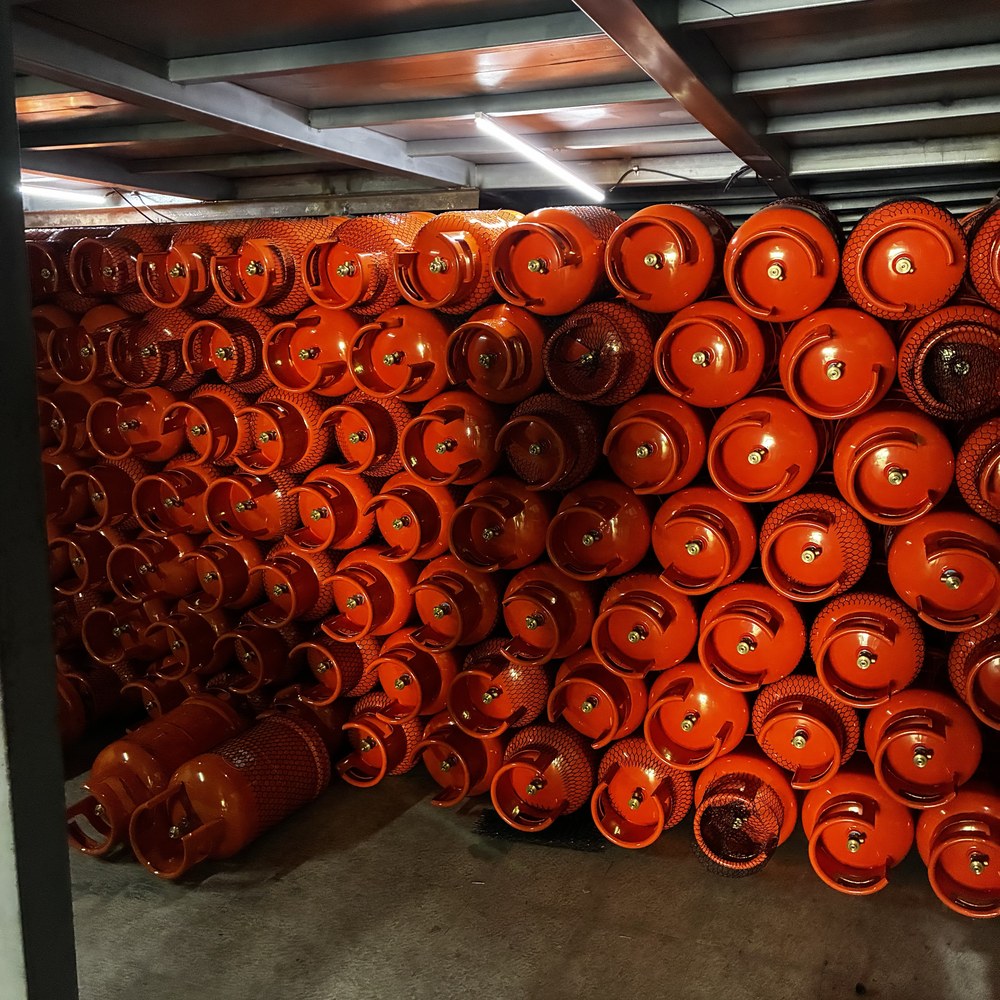 Chimbos LYON en transporte